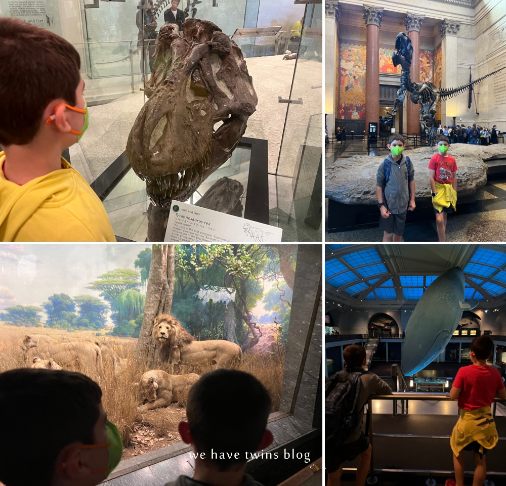 collage kids visit natural history museum new york city